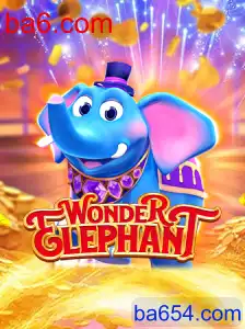 WonderElephant